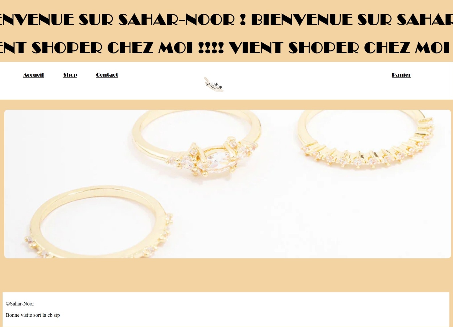 Capture du site vitrine