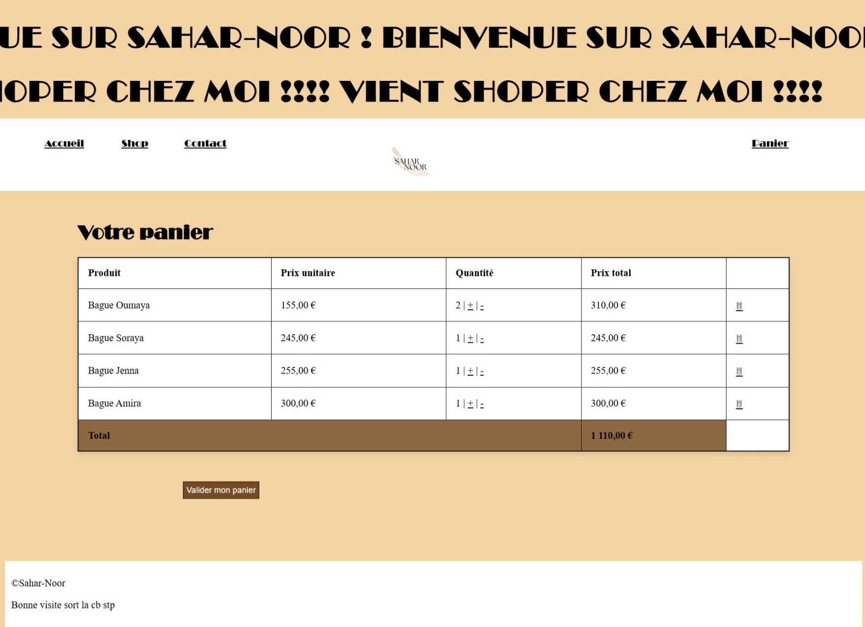 Capture du site vitrine