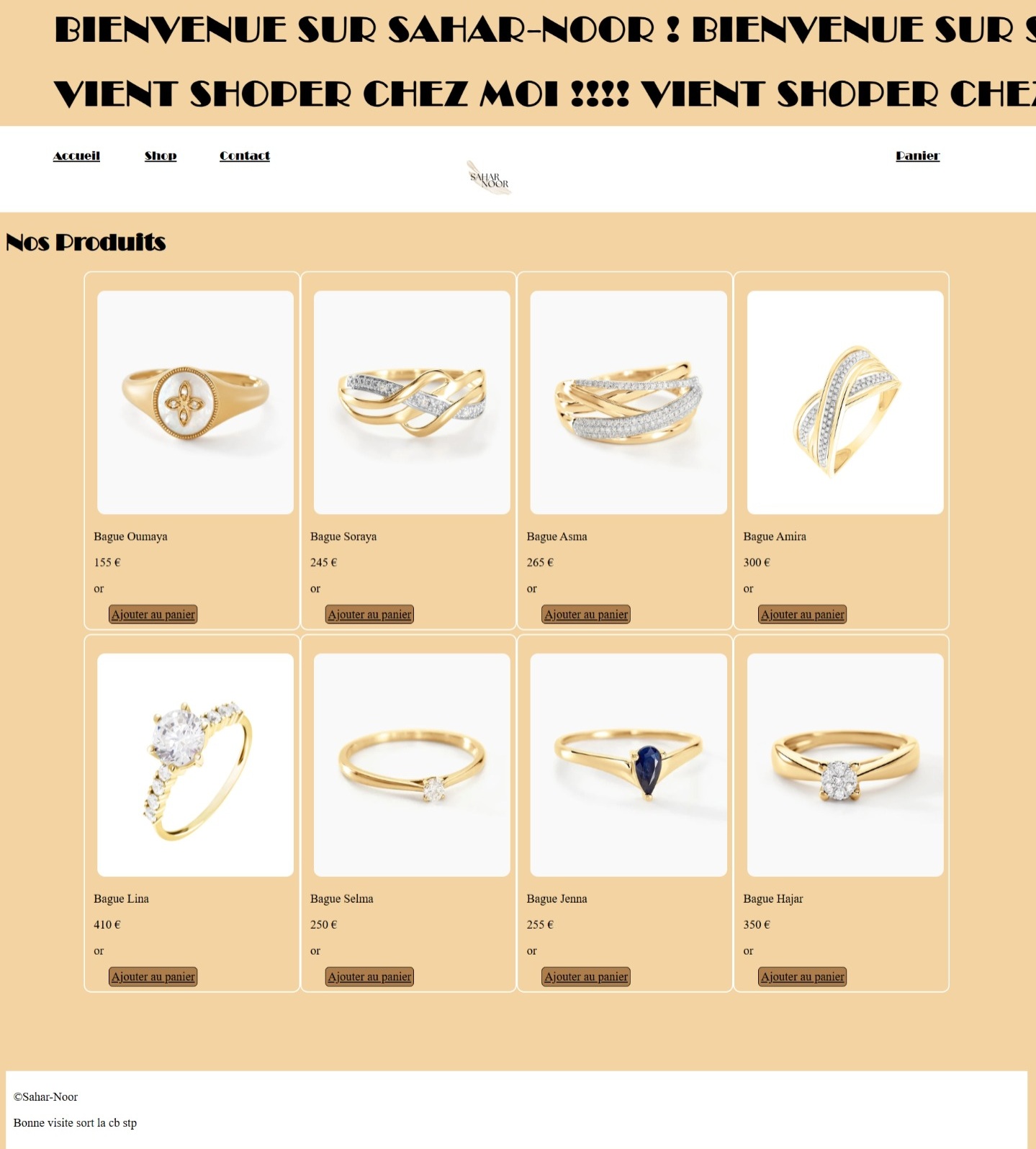 Capture du site vitrine